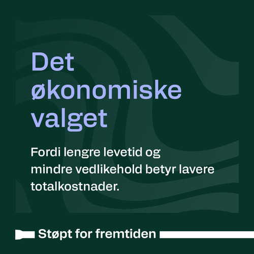 Det økonomiske valget